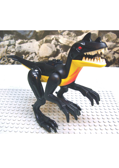 raptor01