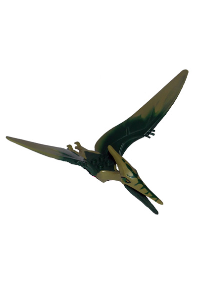 ptera03