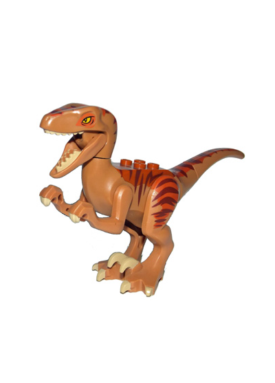 raptor03