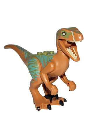 raptor05