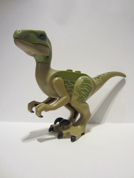 raptor06