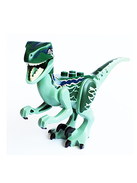 raptor07