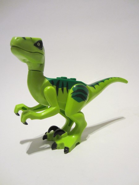 raptor08