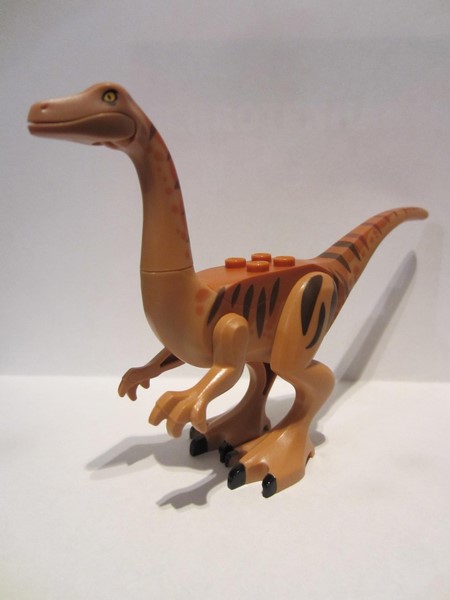 galli01