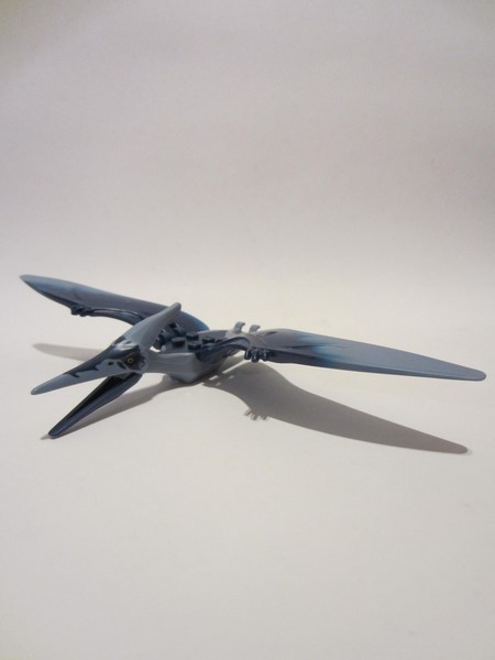 ptera07