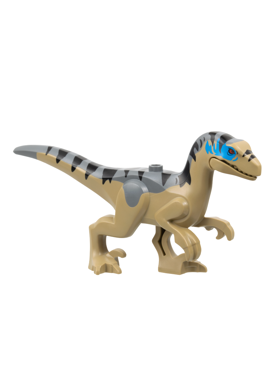 raptor18