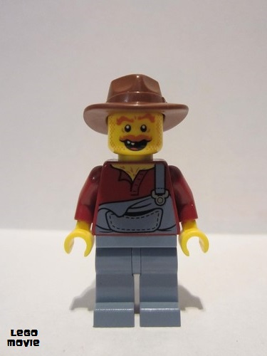 lego 2014 mini figurine tlm043 Hank Haystack  