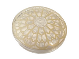 Trans-Clear Dish 4 x 4 Inverted (Radar) with Open Stud with Tan Rose Window Pattern