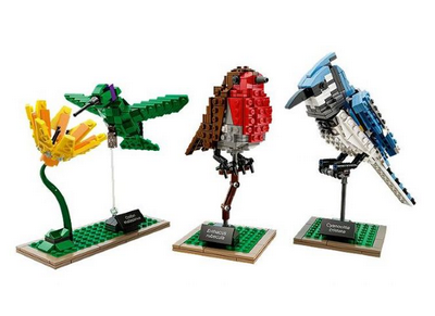 lego 2015 set 21301 Birds 