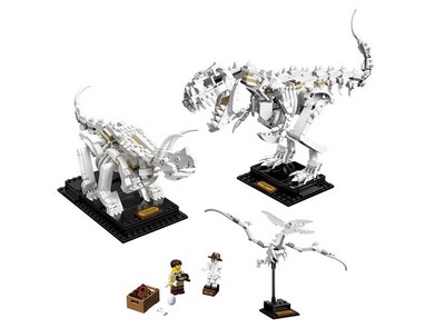 lego 2019 set 21320 Dinosaur Fossils 