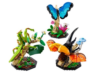 lego 2023 set 21342 The Insect Collection La collection d'insectes