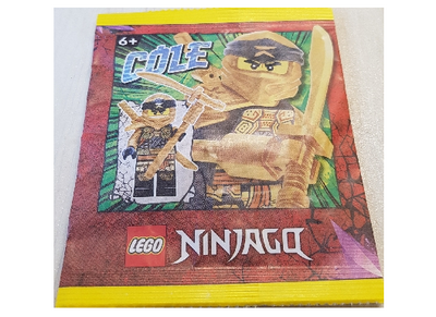 lego 2022 set 892295 Cole paper bag Cole