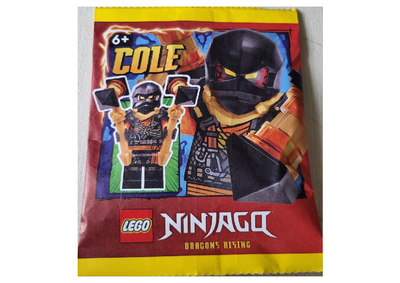 lego 2024 set 892408 Cole paper bag Cole